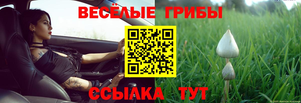 Оренбург  Псилоцибиновые грибы MAGIC MUSHROOMS  Вход с VPN  Псилоцибиновые грибы мухоморы 